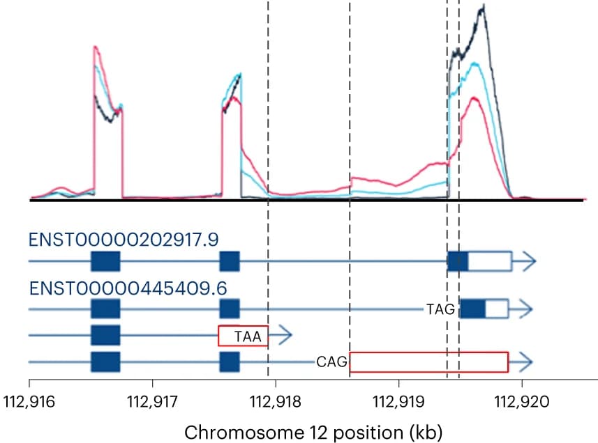 Open access visualization of Line Plot, 10x RNA-seq, Coverage Depth, Epithelial Cells, OAS1