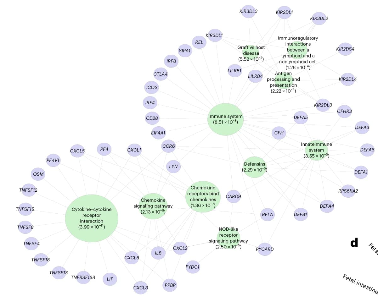 Open access visualization of Network, Pathway, KEGG, REACTOME, BIOCARTA