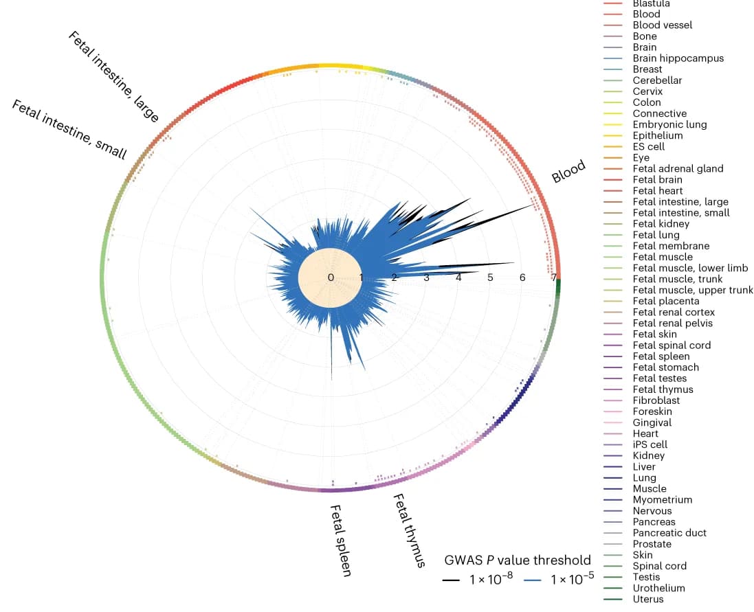 Open access visualization of Bar Plot, GWAS enrichment, DNase I-hypersensitive sites, DHS, GARFIELD