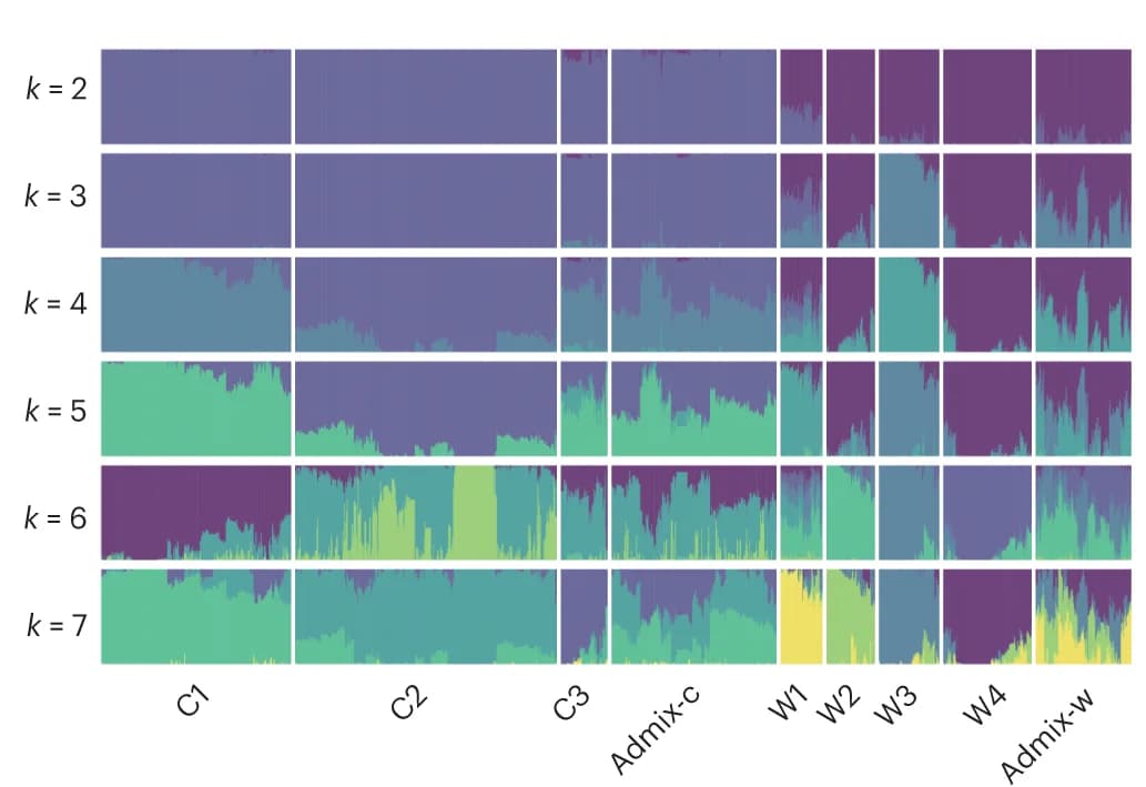 Open access visualization of Stacked Bar Plot, ADMIXTURE Analysis