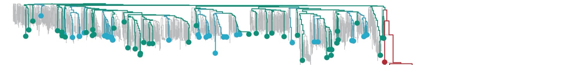 Open access visualization of Line Plot, Line Step, Scatter Plot, Bubble Plot, Phylogenetic Tree