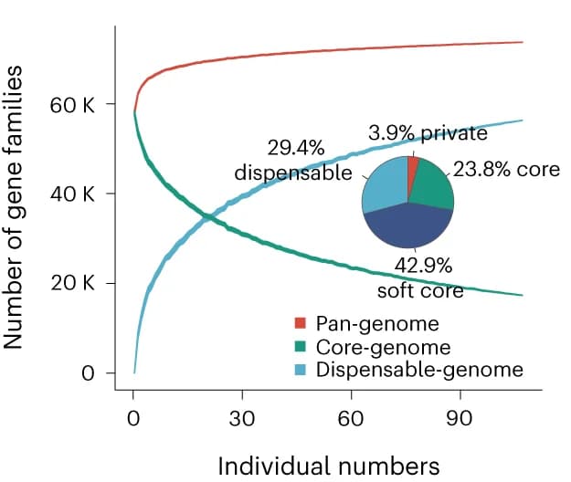 Open access visualization of Line Plot, Pie Chart, Pan-genome, Growth Curve, Gene Family