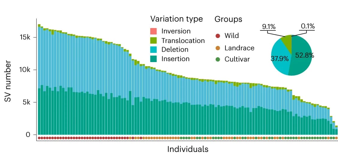 Open access visualization of Stacked Bar Plot, Pie Chart, Structural Variation, Accessions