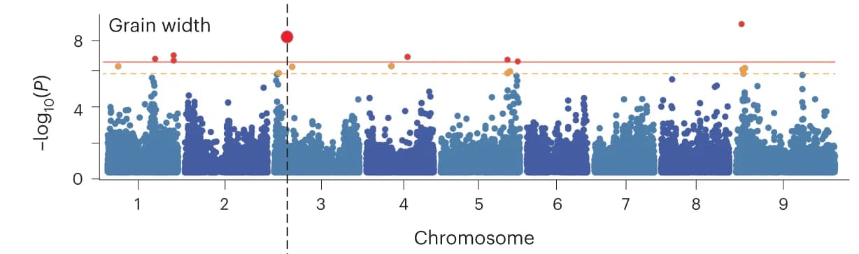 Open access visualization of Manhattan Plot, Manhattan plots, SV-GWAS, GW, Bonferroni-corrected genome-wide significance threshold