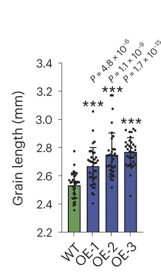 Open access visualization of Bar Plot, Error Bars, Scatter Plot, GW, GL