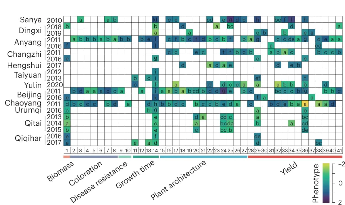 Open access visualization of Heatmap, Phenotypic variation, Growth conditions, Duncan's multiple comparisons test, ANOVA