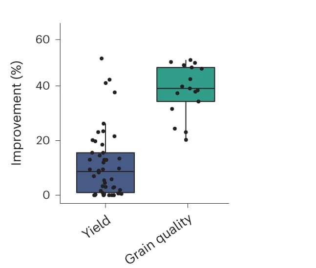 Open access visualization of Box Plot, Scatter Plot, Improvement percentage, Yield, Grain quality-related traits