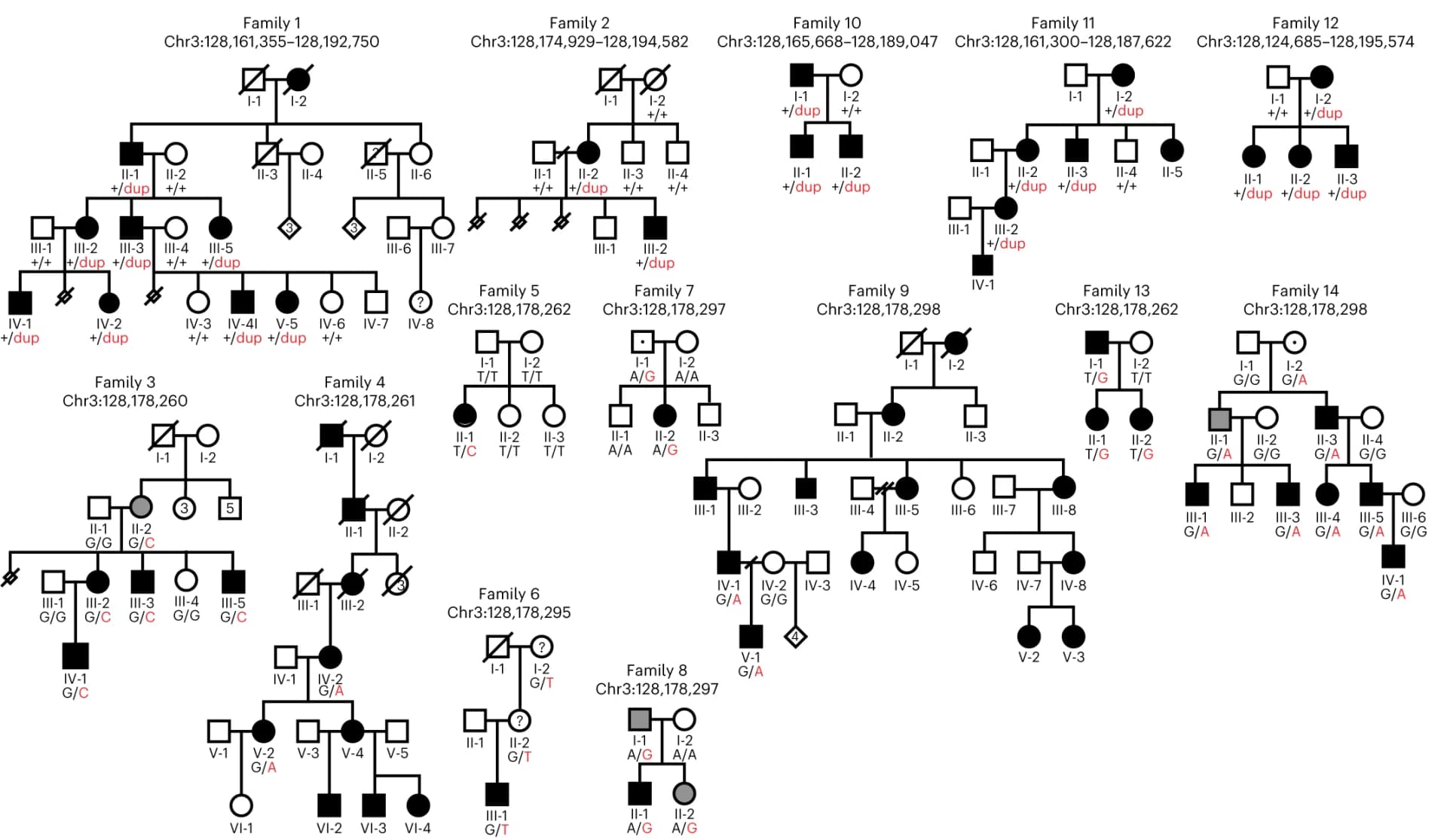 Open access visualization of Illustration, Flowchart, Pedigrees, Chromosomal Location, Genotype