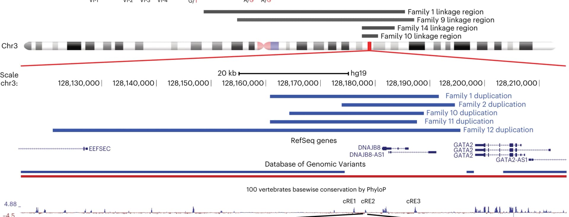 Open access visualization of Illustration, Line Plot, Genomic Representation, Linkage Regions, Nucleotide Positions