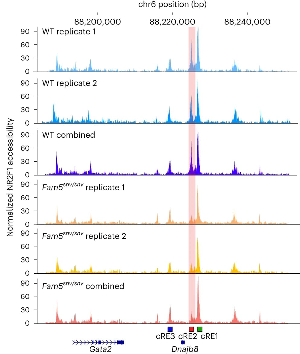 Open access visualization of Line Plot, Single-cell CUT&Tag, Regulatory Region, Replicates