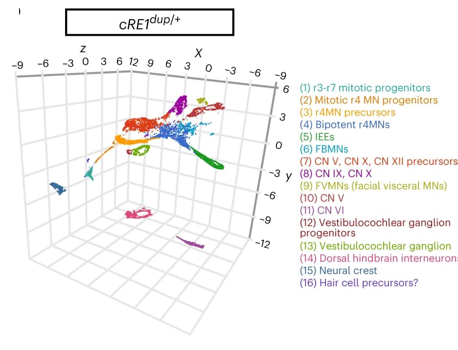 Open access visualization of 3D Plot, UMAP, scRNA-seq, Motor Neurons, Seurat Clusters