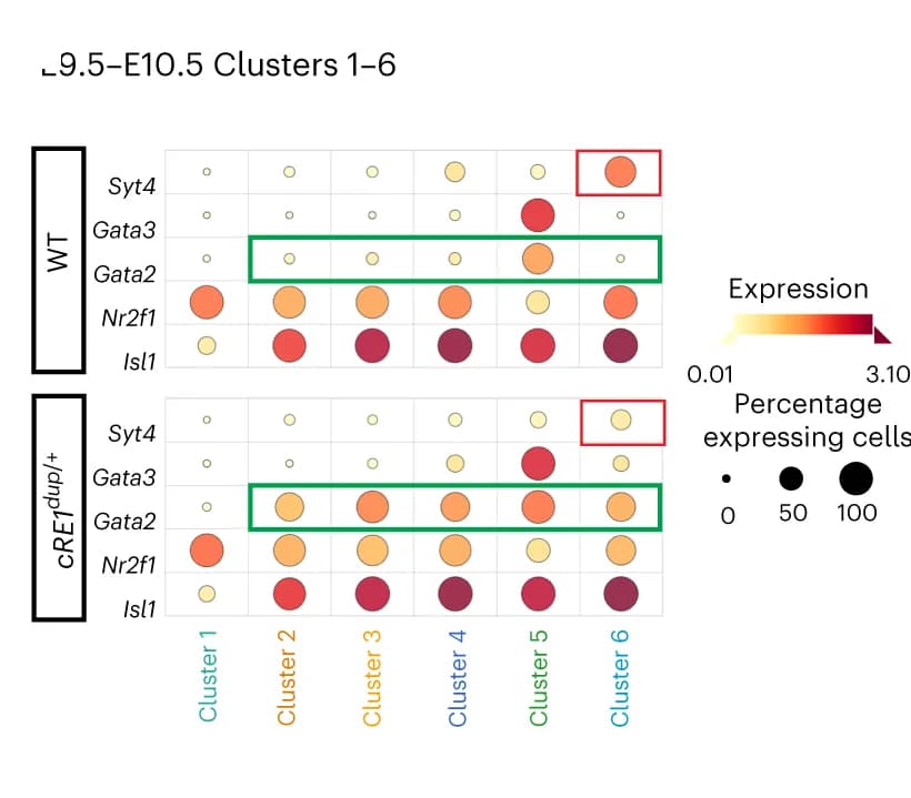 Open access visualization of Bubble Plot, Dotplot, FBMN, IEE, Marker Expression