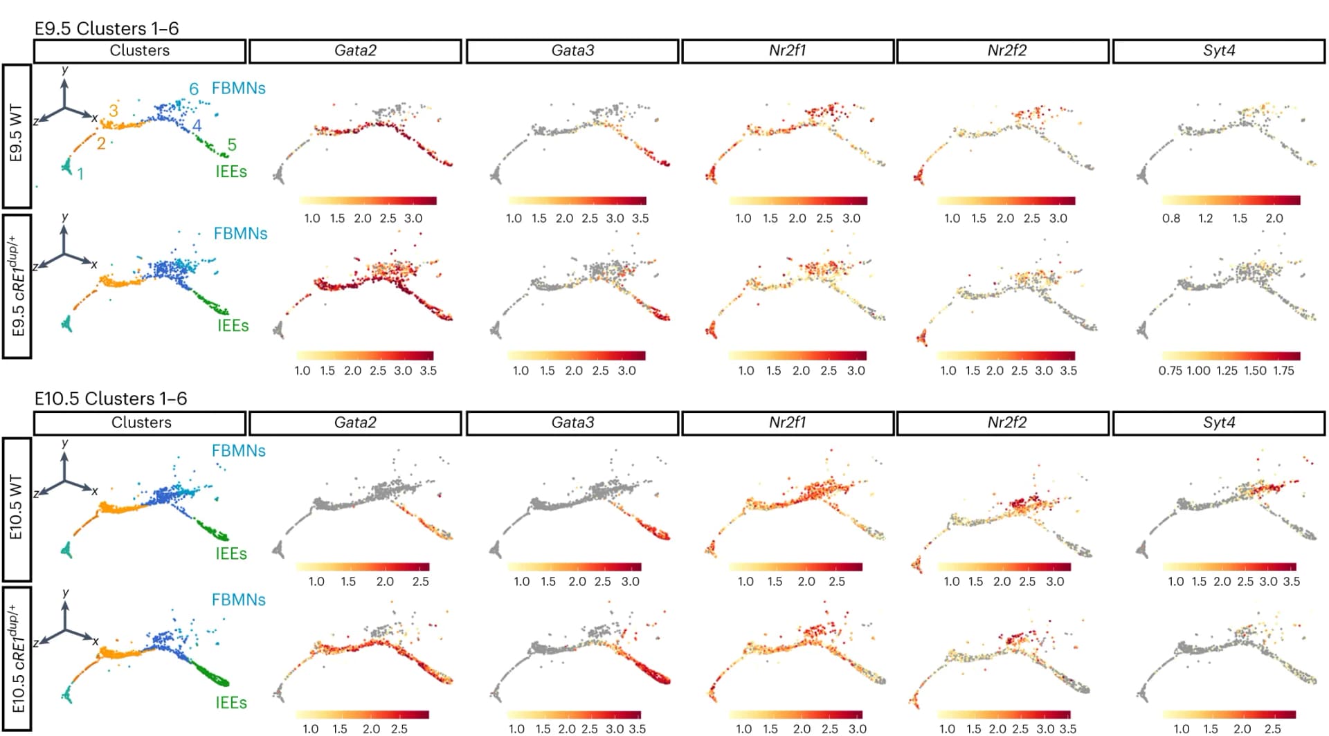 Open access visualization of Scatter Plot, UMAP, Feature Plots, r4MN Trajectory, Markers