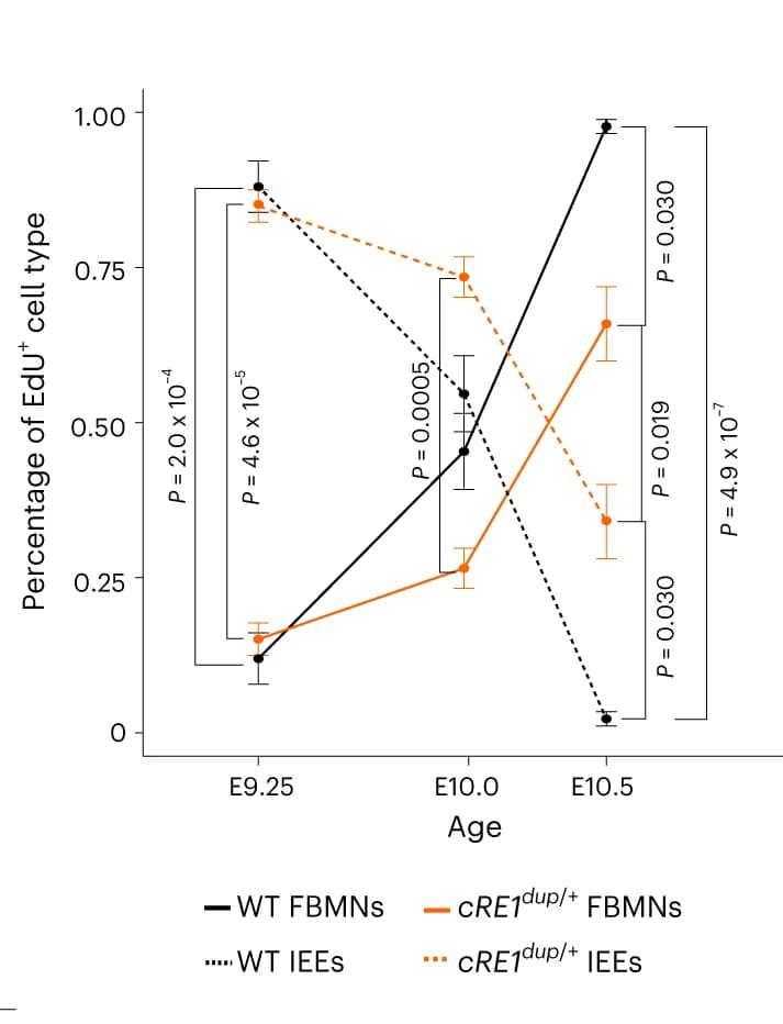 Open access visualization of Line Plot, Error Bars, r4MN Birthdating, Mitotic Cells, EdU