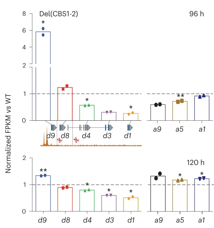 Open access visualization of Bar Plot, Error Bars, FPKM values, Hoxd RNAs, Hoxa RNAs