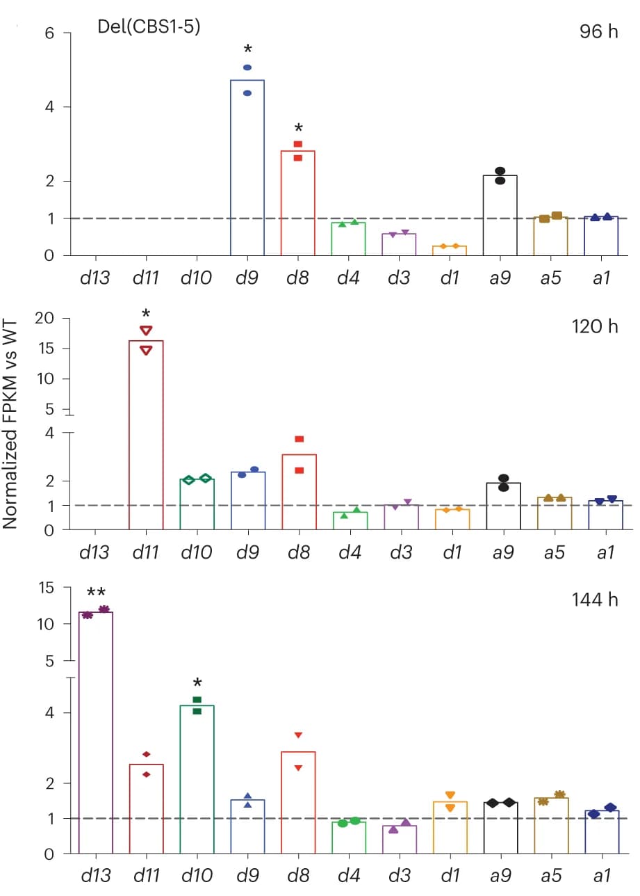 Open access visualization of Bar Plot, Scatter Plot, FPKM values, Hoxd RNAs, Hoxa RNAs