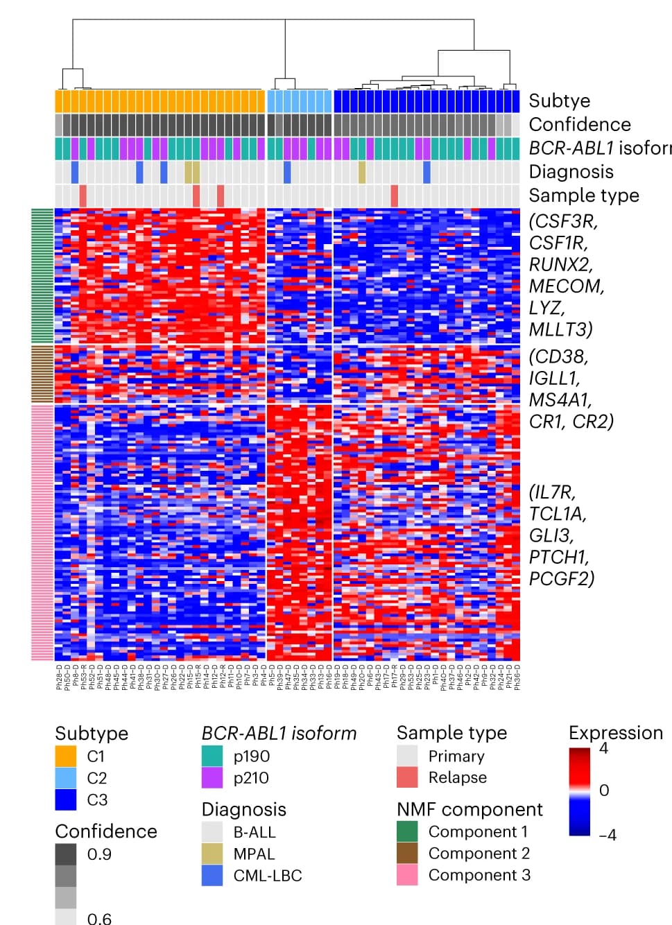 Open access visualization of Heatmap, Clustered, Bar Plot, Gene Expression Heatmap, Molecular Subtypes