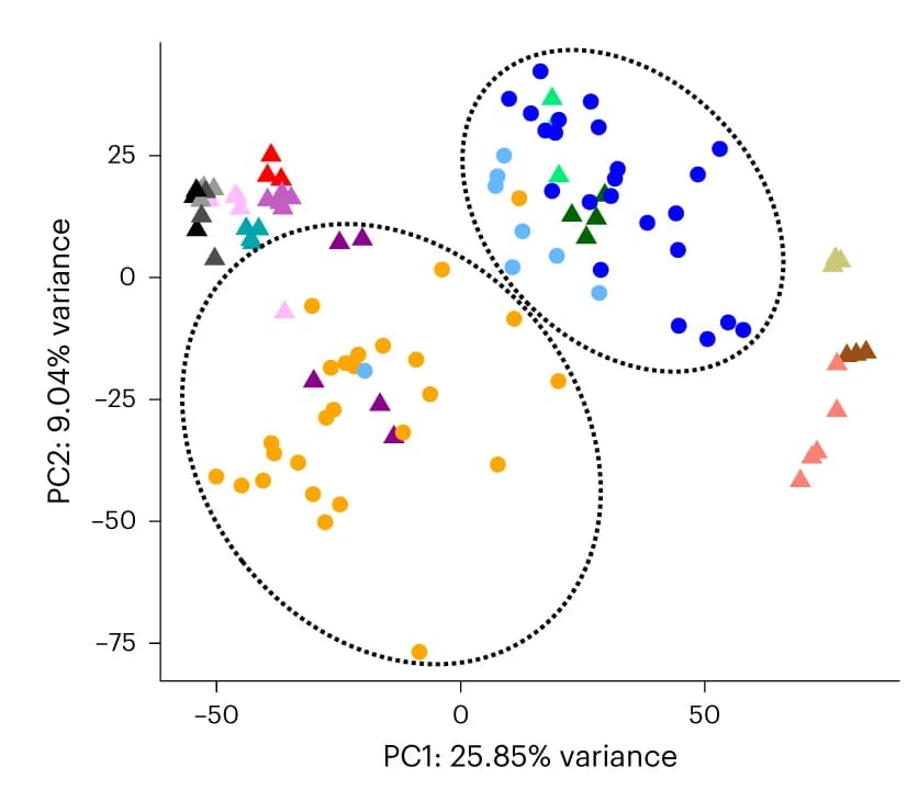 Open access visualization of Scatter Plot, PCA, B-ALL, Hematopoietic Cell