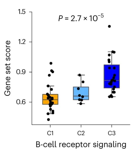 Open access visualization of Box Plot, Scatter Plot, Gene Set Score, B-Cell Receptor Signaling, Leukemia Subtype
