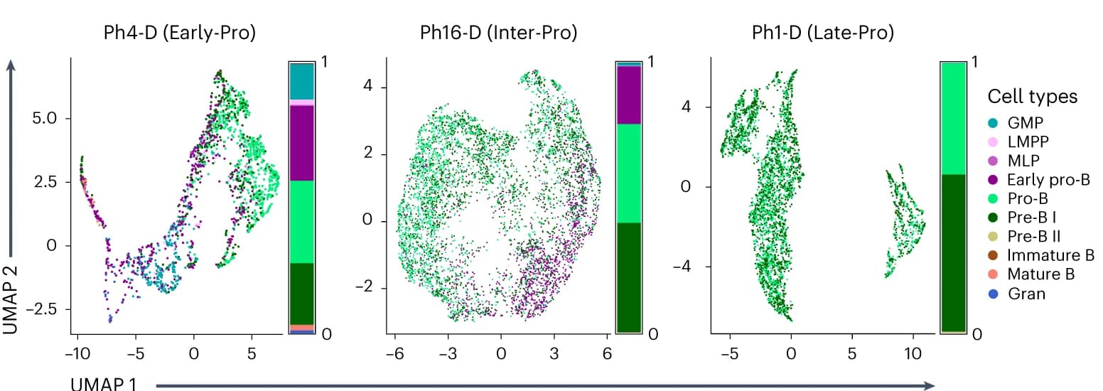 Open access visualization of UMAP, Stacked Bar Plot, Single-Cell RNA Sequencing, scRNA-seq, Cell Type Annotation
