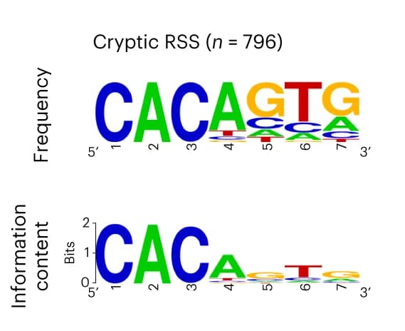 Open access visualization of Illustration, Sequence Logo, RSS Heptamers, Transformation-related SVs