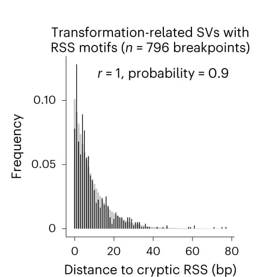 Open access visualization of Histogram, SV Breakpoints, RSS Motifs, Transformation-related SVs, Negative Binomial Distribution