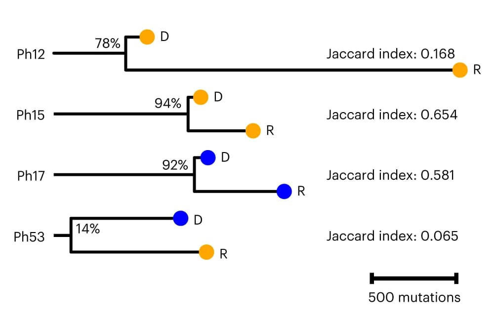 Open access visualization of Network, Pathway, Phylogenetic Relationships, Leukemia Pairs, Point Mutations