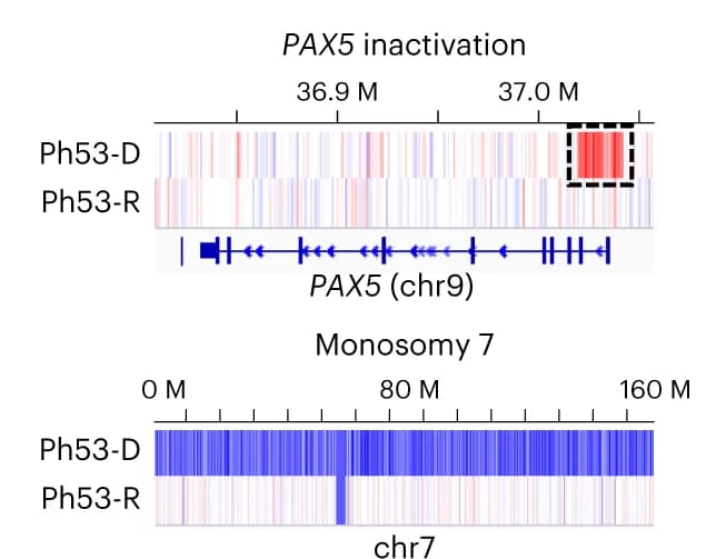 Open access visualization of Heatmap, PAX5 Inactivation, Monosomy 7, Copy Number Gains, Copy Number Losses
