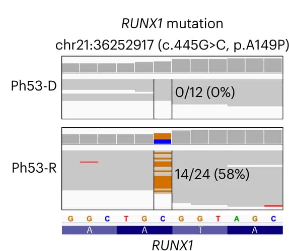 Open access visualization of None, RUNX1 Mutation, Sequencing Read, Reads Frequency