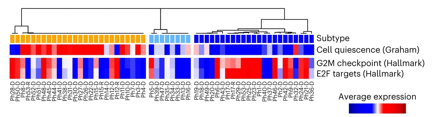 Open access visualization of Heatmap, Clustered, Gene Expression, Cell Quiescence, Cell Cycling