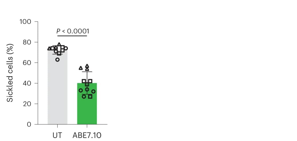 Open access visualization of Bar Plot, Error Bars, Scatter Plot, Sickled Cells, Bone Marrow