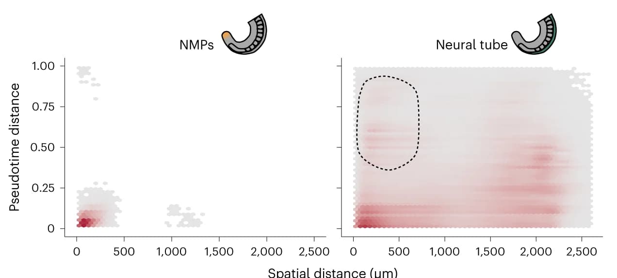 Open access visualization of Scatter Plot, Density Plot, Pseudotime Difference, Spatial Distance, Cell State