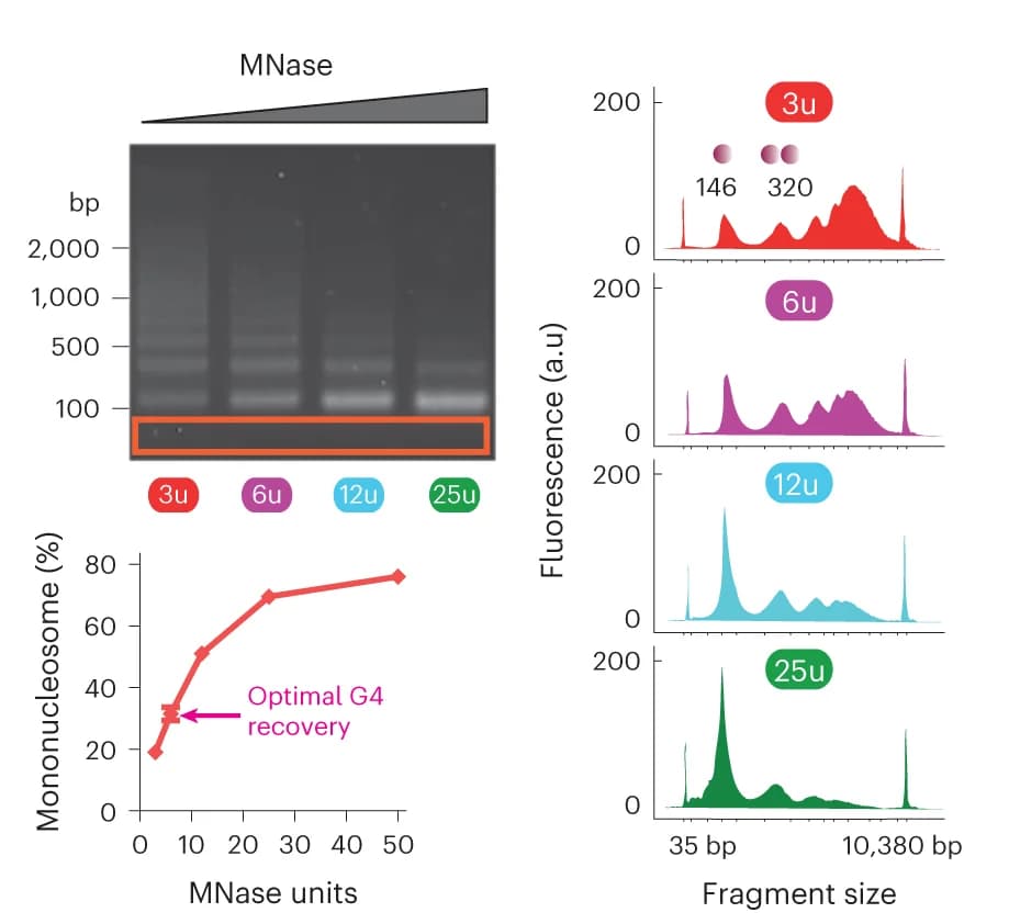Open access visualization of Line Plot, Gel, Density Plot, G4access, Gel Electrophoresis