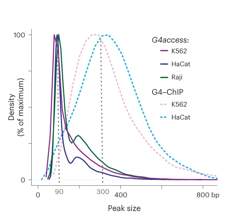 Open access visualization of Line Plot, Density Plot, Peak Size Distribution, G4-ChIP, G4access