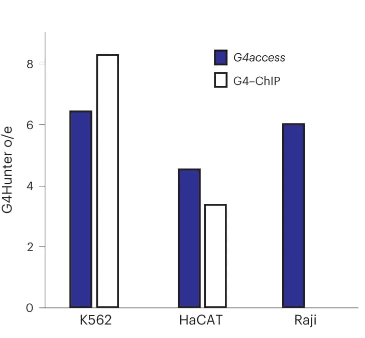 Open access visualization of Bar Plot, Clustered, G4Hunter Predictions, G4access, ChIP