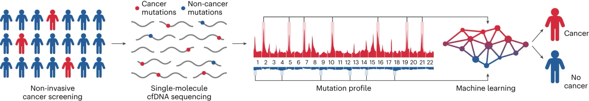 Open access visualization of Workflow, Flowchart, Illustration, Line Plot, Network