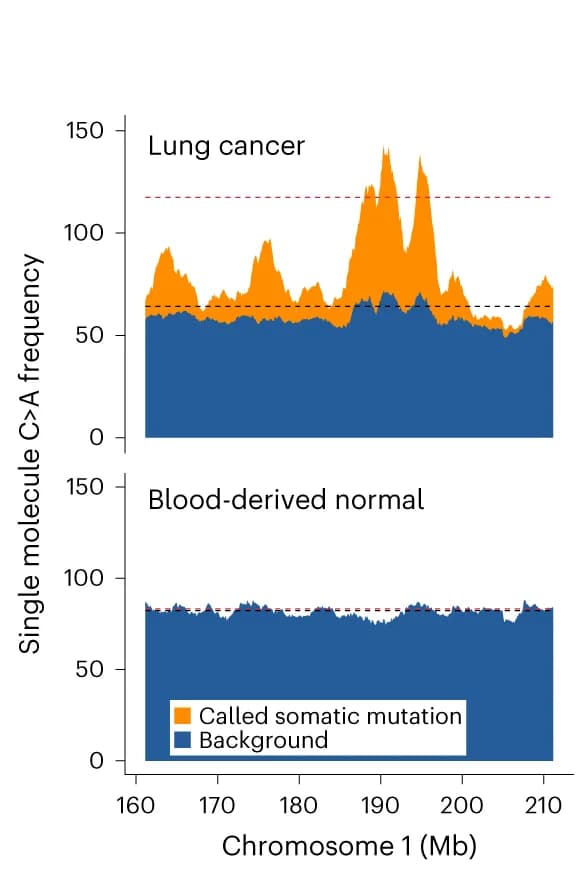 Open access visualization of Line Plot, Stacked Bar Plot, Single-Molecule Mutations, Somatic Mutations, Background Mutations