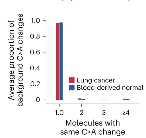 Open access visualization of Clustered, Molecules, Background Mutations, C>A Changes, Lung Cancer