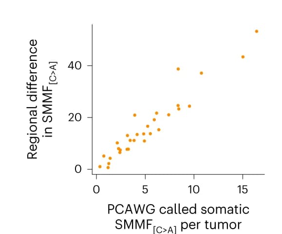 Open access visualization of Scatter Plot, Regression Plot, Regional Mutations, Single-Molecule Mutations, C>A Changes