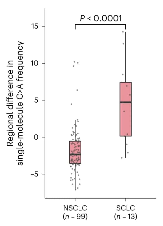 Open access visualization of Box Plot, Scatter Plot, Single-molecule frequency, LUCAS cohort, Validation cohort