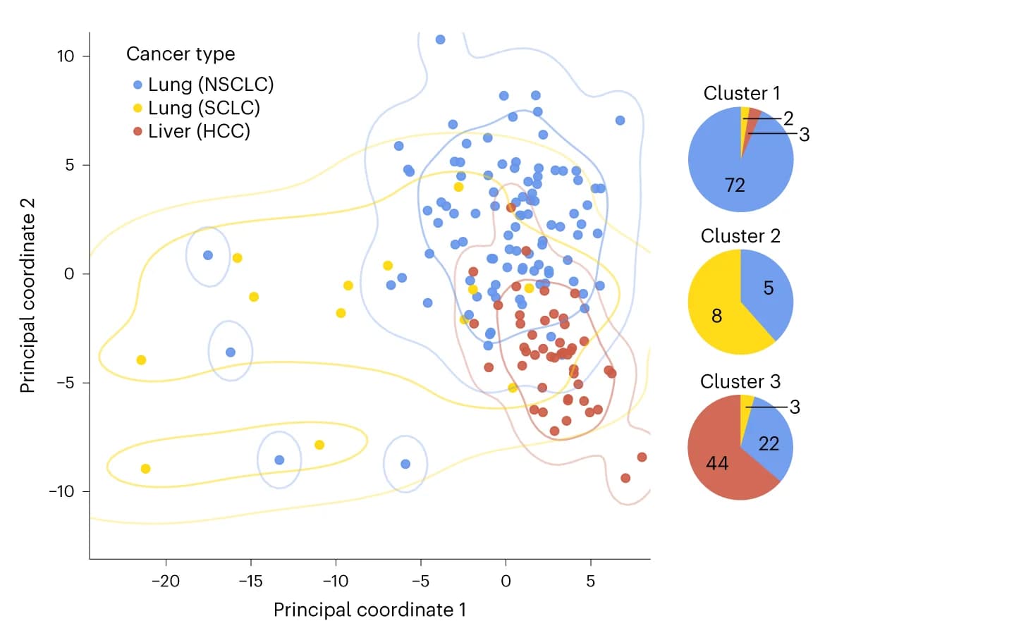 Open access visualization of Scatter Plot, PCA, Pie Chart, Principal coordinate analysis, Mutation frequencies