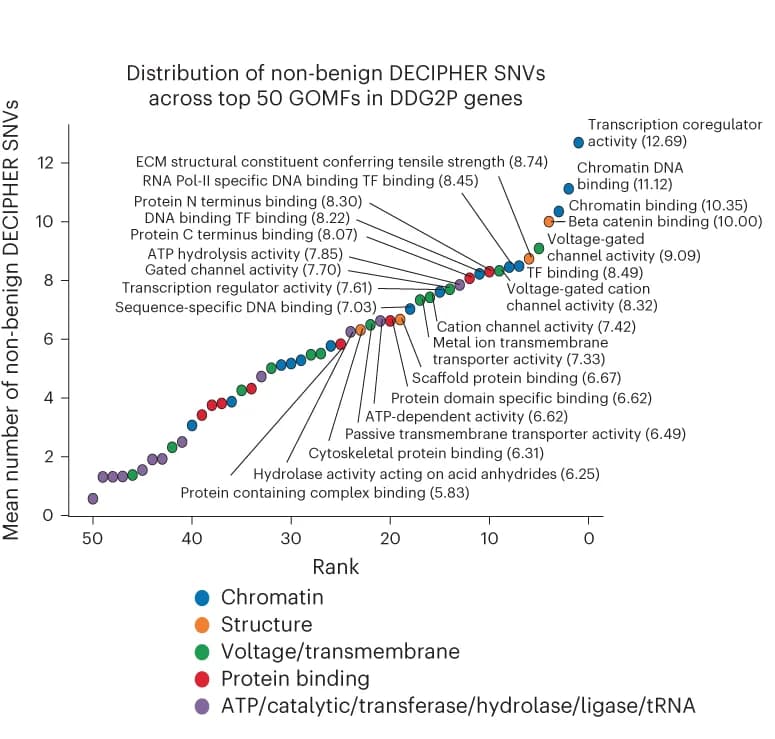 Open access visualization of Scatter Plot, Scatterplot, SNVs, DECIPHER, GOMF Gene Sets