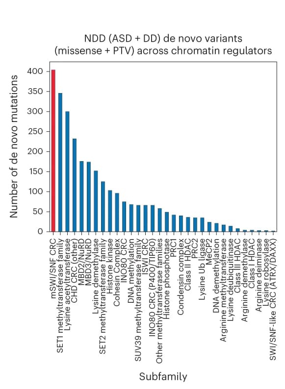 Open access visualization of Bar Plot, Bar Graph, NDD, Missense Variants, Protein Truncating Variants