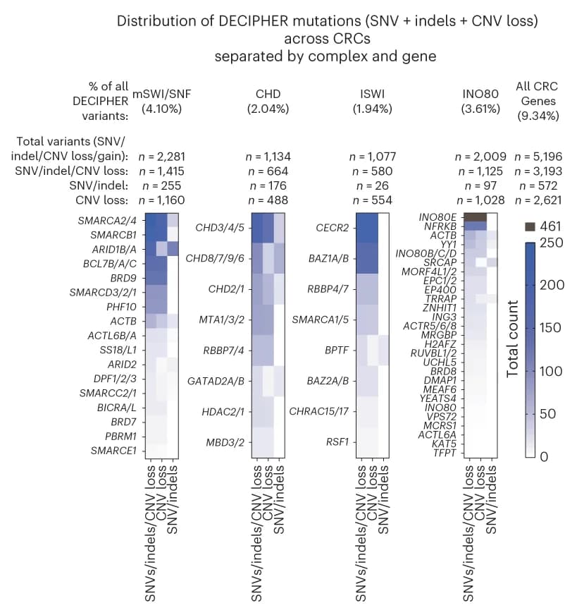 Open access visualization of Heatmap, Heatmaps, Mutational Frequency, SWI/SNF, CHD