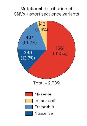 Open access visualization of Pie Chart, mSWI/SNF, NDD, SNV, Indel Mutations