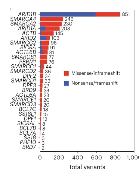 Open access visualization of Stacked Bar Plot, Bar Plot, Bar Chart, NDD, Missense Mutations