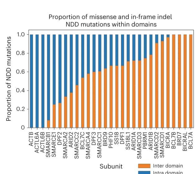 Open access visualization of Stacked Bar Plot, Stacked Bar Chart, NDD, Missense Mutations, In-frame Insertions