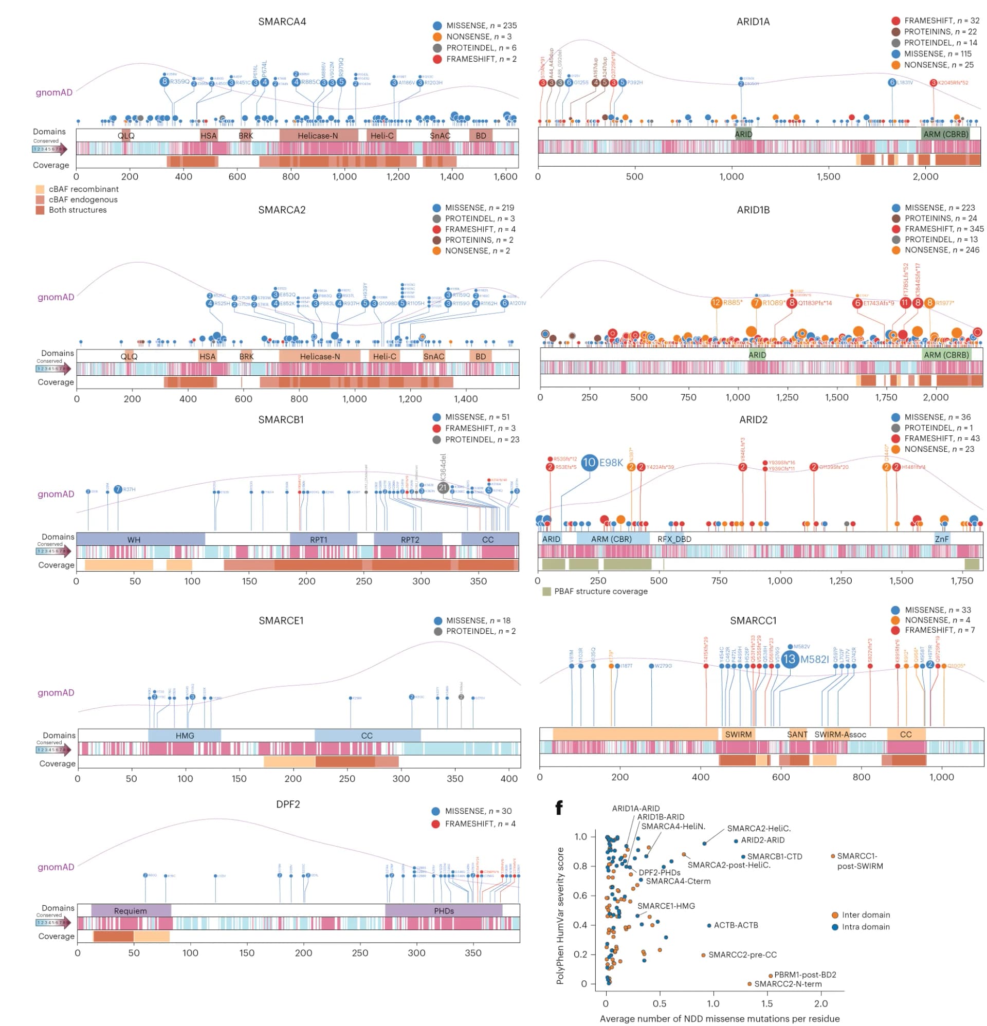 Open access visualization of Scatter Plot, Line Plot, Bar Plot, Lollipop Plots, NDD Mutations