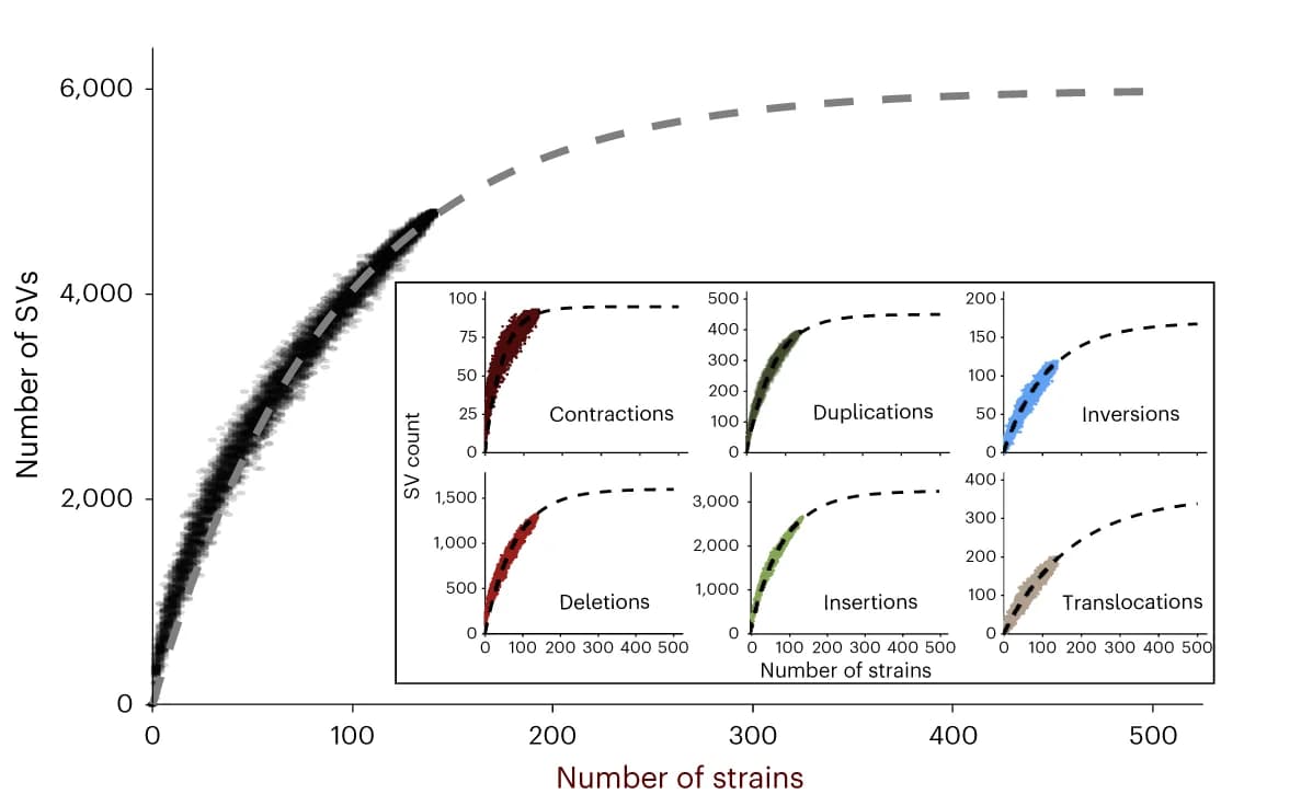 Open access visualization of Scatter Plot, Line Plot, Rarefaction Curve, SV, Strains