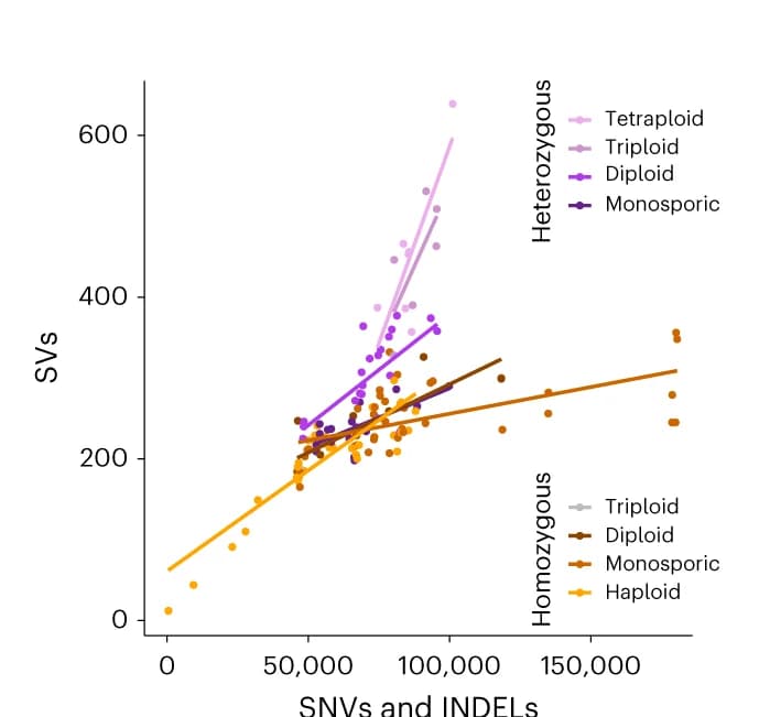 Open access visualization of Scatter Plot, Regression Plot, SV, SNV, Indels